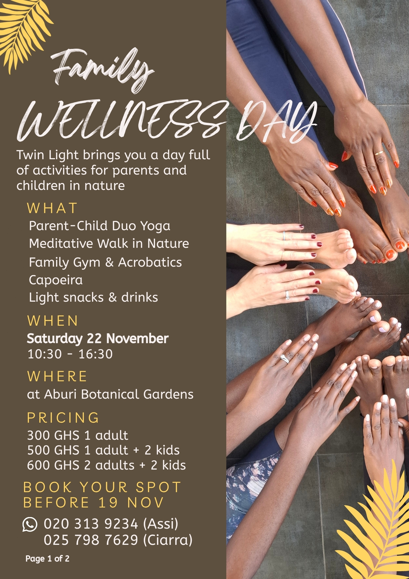 Family Wellness Day